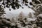 Beautiful Calm and Peaceful Frozen Cold Winter Season Snow in Breckenridge Colorado Landscape Scene of Fir Pine Trees in Outdoor N