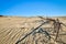 Beautiful calm view of nordic sand dunes and protective fences at Curonian spit, Nida, Klaipeda, Lithuania. Buried wood