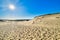 Beautiful calm view of nordic sand dunes and protective fences at Curonian spit, Nida, Klaipeda, Lithuania. Buried wood