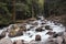 Beautiful calm waterfall in the coniferous forest