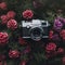 Beautiful camera with beautiful colorful flowers generative AI