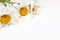 Beautiful camomile daisy flowers, medicinal herbs on white background with copy space