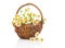 Beautiful camomile flowers in basket