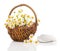 Beautiful camomile flowers in basket with tee bag