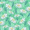 Beautiful camomile flowers seamless pattern