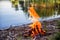 Beautiful campfire in the evening at lake. Fire burning in dusk at campsite