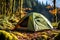 Beautiful camping scene with crackling campfire and tent in the midst of a lush, towering forest