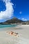 Beautiful Camps Bay Beach and Lion Head Mountain