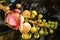 Beautiful cannonball flower ,Couroupita guianensis