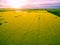 Beautiful canola field at glowing sunset in Australia - aerial view.