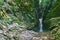 Beautiful canyon covered with moss and ivy with a calm river and small waterfall