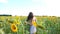 Beautiful carefree woman walking among high blooming sunflowers showing joyful emotions. Young happy girl going through