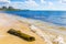 Beautiful Caribbean beach with washed up tree trunk wood Mexico