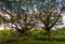 Beautiful Carlsmith Beach Park in Hilo, Hawaii