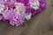 Beautiful carnation Pink fucsia Flowers on Wooden Surface with Copy Space