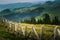 A beautiful Carpathian scenery with a fence and a forest