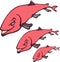 Beautiful cartoon illustration of cute pink torpedo fish colony in white and clear background.cdr