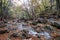 Beautiful cascade waterfall in autumn forest, silky smooth stream in the forest