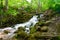 Beautiful cascade waterfall in green forest