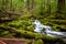 Beautiful cascade waterfall in Sol Duc falls trail