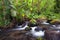 Beautiful cascading creek with clear water in a forest