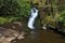 Beautiful cascading waterfall, Nant Bwrefwy, Upper Blaen-y-Glyn