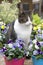 Beautiful cat in between colored pansy flowers