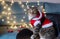 A beautiful cat of European breed in a suit of Santa Claus sits on a sofa against the background of a garland. Merry Christmas.