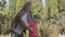 Beautiful caucasian woman with long hair palying with her little girl in the park. The child falling and mother catching