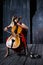 Beautiful cello musician