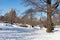 Beautiful Central Park Snow Covered Winter Landscape in New York City