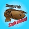 Beautiful Channa Snakehead Fish vector illustration