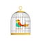 Beautiful character of colorful bird in cage. Wonderful feathered creature in hanging cell. Cartoon flat vector design