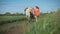 A beautiful charming blonde woman walking with a horse at a field