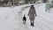 Beautiful cheerful girl walking the dog Pointer in the snow.