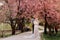 Beautiful, cheerful and lively newlyweds, groom and bride are hugging near the blooming pink cherry blossom. Wedding portrait of a