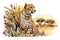 Beautiful cheetah in the African savanna, watercolor illustration generated by AI