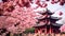 Beautiful cherry blossom and pagoda in Nara, Japan, AI Generated