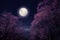 Beautiful cherry blossom sakura flowers in night skies with full moon