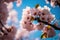 Beautiful cherry blossoms. nature\\\'s beauty. Cherry blossoms are beautiful. bloom in the springtime.