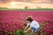 Beautiful child in gorgeous crimson clover field on sunset, gath