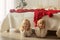 Beautiful children, blond kids, siblings, playing in decorated home for Christmas, enjoying holidays