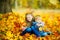 Beautiful children play with autumn fallen leaves outdoors