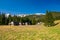 Beautiful Chocholowska Clearing with blooming crocuses meadow and historic shepherd\'s huts, Tatra Mountains, Poland