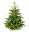 Beautiful Christmas tree with gold baubles