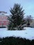 Beautiful Christmas tree with red ornaments on the main square of Vác in the small baroque town in Hungary