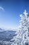 Beautiful Christmas winter panorama. Conifer in hoarfrost. Mountain view on a sunny day.