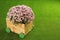 Beautiful chrysanthemum flowers in cart on artificial lawn