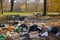 beautiful city park, littered with trash and debris