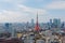 Beautiful city skyline of Downtown Tokyo, with the famous landmark Tokyo Tower standing tall among crowded skyscrapers